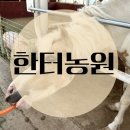 한터농원 영농조합법인 이미지