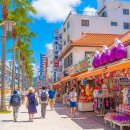 진해해변공원(교육사정문앞) | 오키나와 나하시 여행: 뚜벅이도 OK! 렌터카 없이 즐기는 2박 3일 알짜 코스