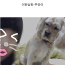 쓰담쓰담 이미지