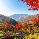 경기도 광주시 화담숲 이미지