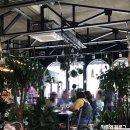 카페브로시스 이미지