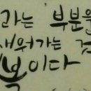 산사랑산약초 이미지