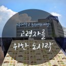 내용 다기능회관 | [특수목적메뉴개발] &#34;고령자를 위한 도시락 만들기&#34;