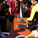 [영월여행]김삿갓의 고장 영월에서 단 하루만 열렸던 김삿갓마을 포도축제 이미지