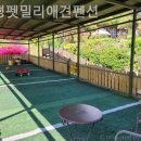 펫밀리펜션 이미지