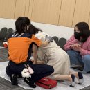 생명을 살리는 심폐소생술(CPR) 이미지