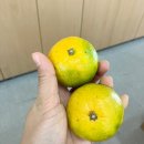 봉동참비지 이미지