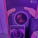 킹덤 호스텔 이미지