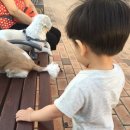 일루와농장 이미지