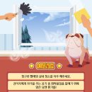 맑은 동물의료센터 이미지