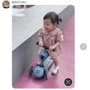 참사랑해 이미지