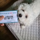 유춘식 | 4학년 2학기 할아버지의 스마홍 면접 후기 [제 16기 하나금융그룹 스마트 SMART 홍보대사]