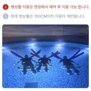 유스퀘어 버스터미널 관광안내소 | 뚜벅이 모녀의 나름 갓벽했던 완도·제주 여름휴가