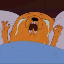 동대문 루시드 동물메디컬센터 이미지