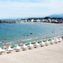 백도오토캠핑장 이미지