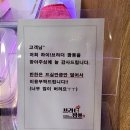 뉴브라더짬뽕 | 상남동 짬뽕맛집 혼밥 중식당 브라더짬뽕 - 내돈내산