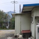 담터낭만칼국수