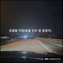 분골 건조작업과 유골함 분갈이 후기 이미지