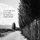 박노해의 걷는 독서 5.31 이미지