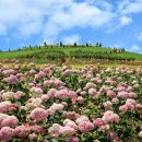 SUN 태양광발전소 이미지