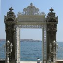 베이베나라 이미지