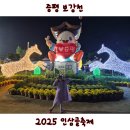 씨유증평 증평읍 초중점 | 2025 증평 인삼골 축제 야시장 금요일 방문 후기