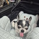 오늘부터 2차 소비쿠폰 신청해요 이미지