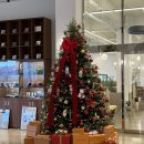 대화버스공영차고지 | [대구 북구] 까베르, 연경동 브런치뷔페 평일 점심 내돈내산 후기