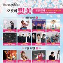 중부-현장-중부-495 | 2026년 4월 서울근교 벚꽃명소 추천 2026 김포 오롯이 벚꽃 축제 완전정리