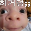 봄봄 네이버블로그