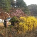호수정원 이미지