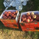 아름사과공원 이미지