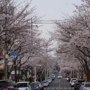 매산 세탁소 네이버블로그