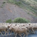 [키르기즈스탄] 비쉬켁(Bishkek)_ 낮엔 웃고 밤엔 험상궂은 도시 이미지