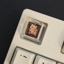 대감영양족발 | 가을반 겨울반