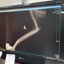 슈르+ 동물병원 이미지