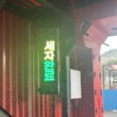 영광세차