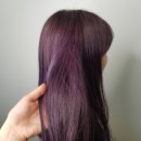 다일리아 | 구미 염색 잘하는 곳, 핑크바이올렛 컬러 후기