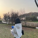 태리로제떡볶이앤닭강정 이미지