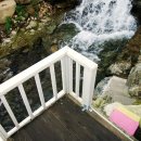 빈스하우스 이미지