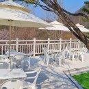 다리안민박 이미지