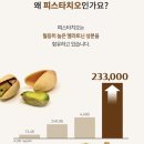 멜라이프 이미지