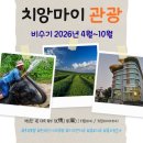 왕인농장 | [치앙마이] 치앙마이 관광 비수기 패키지 [항공X] [4월-6월]