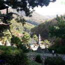 와우정사 이미지