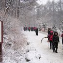 태백산 눈축제 이미지