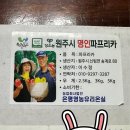 둥이농장 | 농장직송 명인파프리카 내돈내산 후기! 6시내고향 방영 고당도 파프리카 보관법