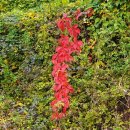 천만 행정사 사무소 이미지