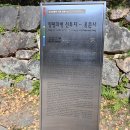 GS25세종봉안점 | ② 용문산 용문사, 은행나무 - ( 2024.11.09 )