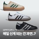 7056 | 아디다스 삼바 vs 가젤 vs 컨트리 | 결국 매일 신게 되는 건 ○○였다