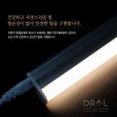 다올라이팅 이미지